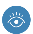 Vision Icon